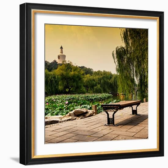 China 10MKm2 Collection - Lotus Flowers - Beihai Park - Beijing-Philippe Hugonnard-Framed Photographic Print