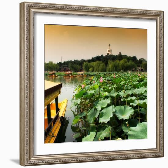 China 10MKm2 Collection - Lotus Flowers - Beihai Park - Beijing-Philippe Hugonnard-Framed Photographic Print