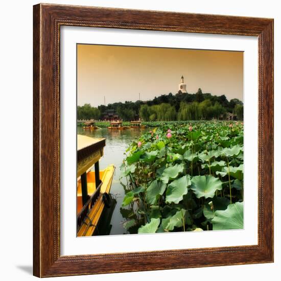 China 10MKm2 Collection - Lotus Flowers - Beihai Park - Beijing-Philippe Hugonnard-Framed Photographic Print