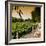 China 10MKm2 Collection - Lotus Flowers - Beihai Park - Beijing-Philippe Hugonnard-Framed Photographic Print