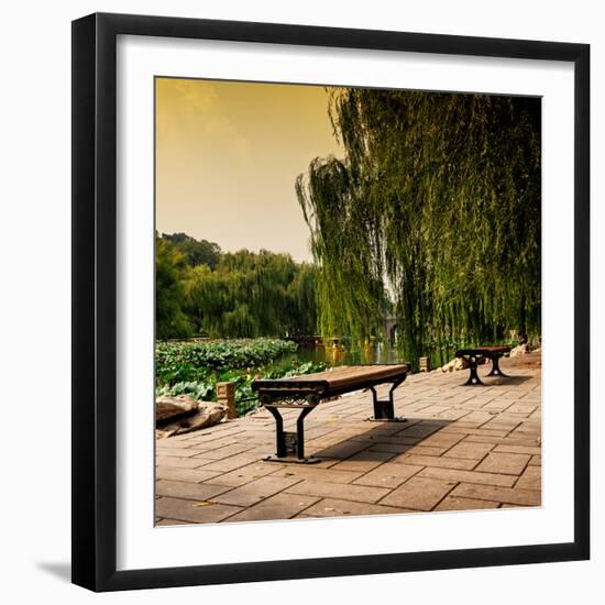 China 10MKm2 Collection - Lotus Flowers - Beihai Park - Beijing-Philippe Hugonnard-Framed Photographic Print