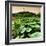 China 10MKm2 Collection - Lotus Flowers - Beihai Park - Beijing-Philippe Hugonnard-Framed Photographic Print