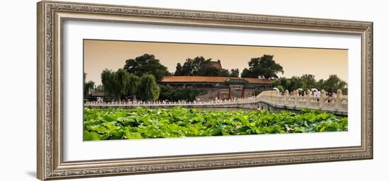 China 10MKm2 Collection - Lotus Flowers - Beihai Park-Philippe Hugonnard-Framed Photographic Print