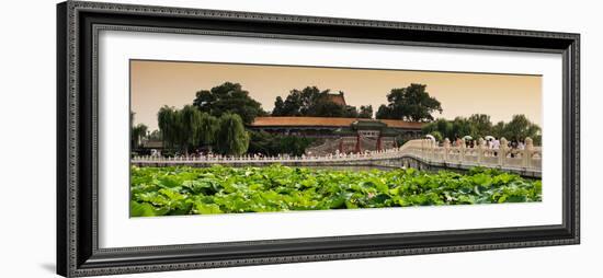 China 10MKm2 Collection - Lotus Flowers - Beihai Park-Philippe Hugonnard-Framed Photographic Print