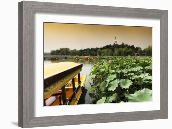 China 10MKm2 Collection - Lotus Flowers - Beihai Park-Philippe Hugonnard-Framed Photographic Print