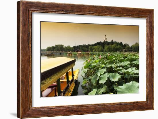 China 10MKm2 Collection - Lotus Flowers - Beihai Park-Philippe Hugonnard-Framed Photographic Print