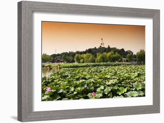 China 10MKm2 Collection - Lotus Flowers - Beihai Park-Philippe Hugonnard-Framed Photographic Print