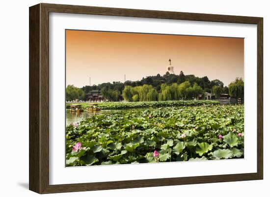 China 10MKm2 Collection - Lotus Flowers - Beihai Park-Philippe Hugonnard-Framed Photographic Print