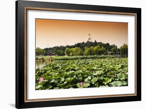 China 10MKm2 Collection - Lotus Flowers - Beihai Park-Philippe Hugonnard-Framed Photographic Print