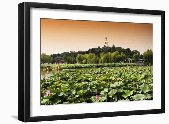 China 10MKm2 Collection - Lotus Flowers - Beihai Park-Philippe Hugonnard-Framed Photographic Print