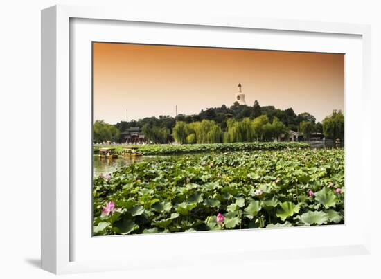 China 10MKm2 Collection - Lotus Flowers - Beihai Park-Philippe Hugonnard-Framed Photographic Print