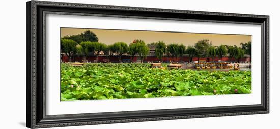 China 10MKm2 Collection - Lotus Flowers - Beihai Park-Philippe Hugonnard-Framed Photographic Print