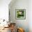 China 10MKm2 Collection - Lotus Flowers-Philippe Hugonnard-Framed Photographic Print displayed on a wall