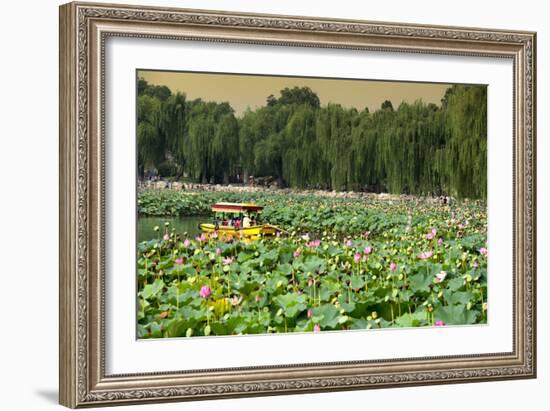 China 10MKm2 Collection - Lotus Flowers-Philippe Hugonnard-Framed Photographic Print