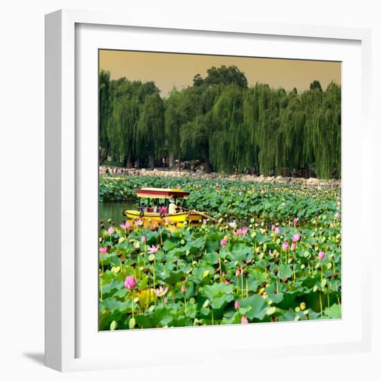 China 10MKm2 Collection - Lotus Flowers-Philippe Hugonnard-Framed Photographic Print