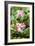 China 10MKm2 Collection - Lotus Garden-Philippe Hugonnard-Framed Photographic Print