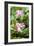 China 10MKm2 Collection - Lotus Garden-Philippe Hugonnard-Framed Photographic Print