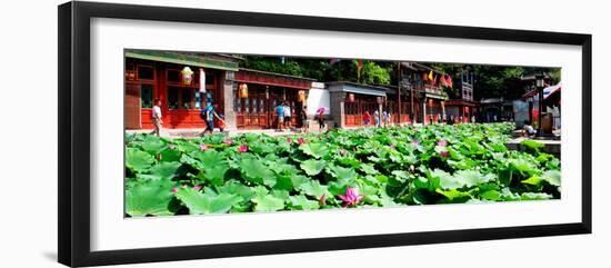 China 10MKm2 Collection - Lotus-Philippe Hugonnard-Framed Photographic Print