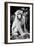 China 10MKm2 Collection - Monkey Portrait-Philippe Hugonnard-Framed Photographic Print