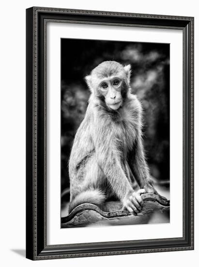 China 10MKm2 Collection - Monkey Portrait-Philippe Hugonnard-Framed Photographic Print