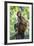 China 10MKm2 Collection - Monkey Portrait-Philippe Hugonnard-Framed Photographic Print