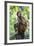 China 10MKm2 Collection - Monkey Portrait-Philippe Hugonnard-Framed Photographic Print