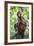 China 10MKm2 Collection - Monkey Portrait-Philippe Hugonnard-Framed Photographic Print