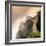 China 10MKm2 Collection - Mount Huashan - Shaanxi-Philippe Hugonnard-Framed Photographic Print