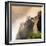 China 10MKm2 Collection - Mount Huashan - Shaanxi-Philippe Hugonnard-Framed Photographic Print