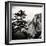 China 10MKm2 Collection - Mount Huashan - Shaanxi-Philippe Hugonnard-Framed Photographic Print