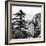 China 10MKm2 Collection - Mount Huashan - Shaanxi-Philippe Hugonnard-Framed Photographic Print