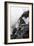 China 10MKm2 Collection - Mount Huashan - Shaanxi-Philippe Hugonnard-Framed Photographic Print