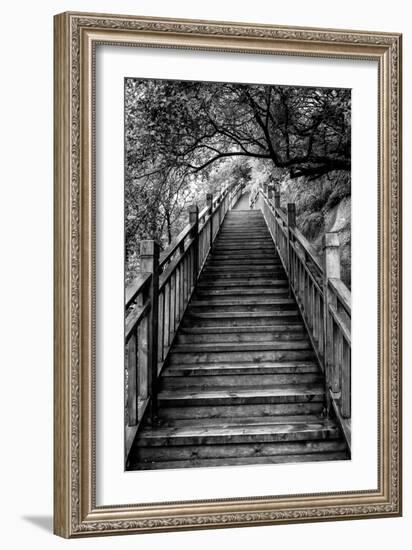 China 10MKm2 Collection - Mountain Woooden Staircase-Philippe Hugonnard-Framed Photographic Print