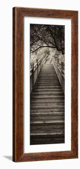 China 10MKm2 Collection - Mountain Woooden Staircase-Philippe Hugonnard-Framed Photographic Print