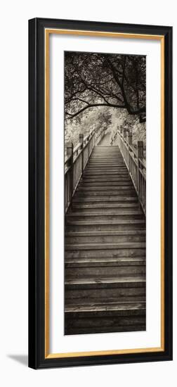 China 10MKm2 Collection - Mountain Woooden Staircase-Philippe Hugonnard-Framed Photographic Print