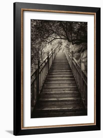 China 10MKm2 Collection - Mountain Woooden Staircase-Philippe Hugonnard-Framed Photographic Print