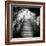 China 10MKm2 Collection - Mountain Woooden Staircase-Philippe Hugonnard-Framed Photographic Print