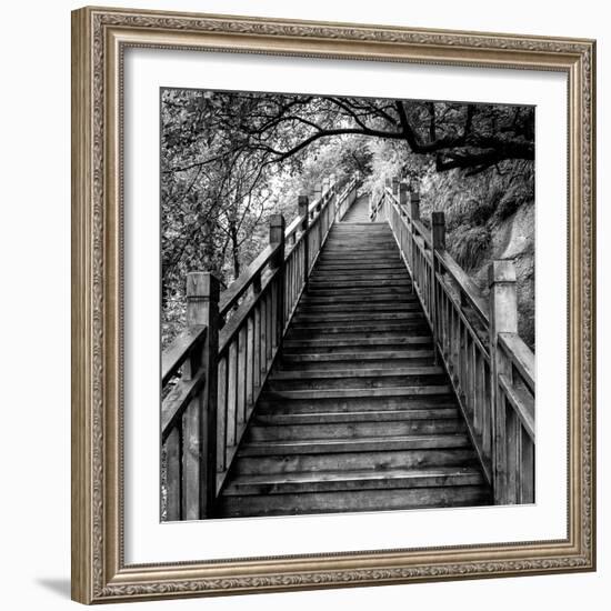 China 10MKm2 Collection - Mountain Woooden Staircase-Philippe Hugonnard-Framed Photographic Print