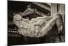 China 10MKm2 Collection - Mythological Statue-Philippe Hugonnard-Mounted Photographic Print