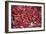 China 10MKm2 Collection - Peppers-Philippe Hugonnard-Framed Photographic Print