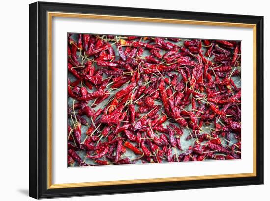 China 10MKm2 Collection - Peppers-Philippe Hugonnard-Framed Photographic Print