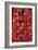 China 10MKm2 Collection - Prayer offering at a Temple-Philippe Hugonnard-Framed Photographic Print