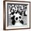 China 10MKm2 Collection - Psychedelic Pandas-Philippe Hugonnard-Framed Photographic Print