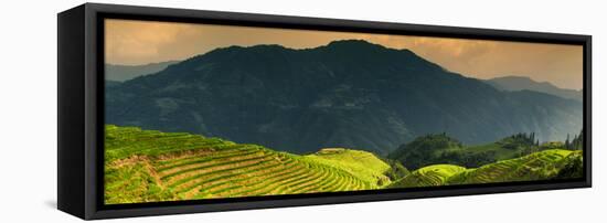 China 10MKm2 Collection - Rice Terraces - Longsheng Ping'an - Guangxi-Philippe Hugonnard-Framed Premier Image Canvas