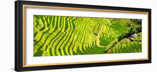 China 10MKm2 Collection - Rice Terraces - Longsheng Ping'an - Guangxi-Philippe Hugonnard-Framed Photographic Print