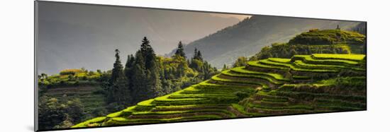 China 10MKm2 Collection - Rice Terraces - Longsheng Ping'an - Guangxi-Philippe Hugonnard-Mounted Photographic Print