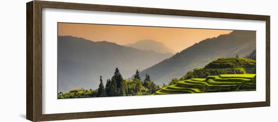 China 10MKm2 Collection - Rice Terraces - Longsheng Ping'an - Guangxi-Philippe Hugonnard-Framed Photographic Print