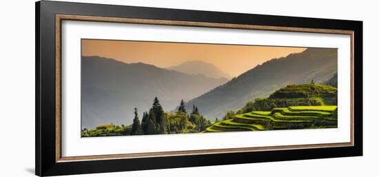 China 10MKm2 Collection - Rice Terraces - Longsheng Ping'an - Guangxi-Philippe Hugonnard-Framed Photographic Print