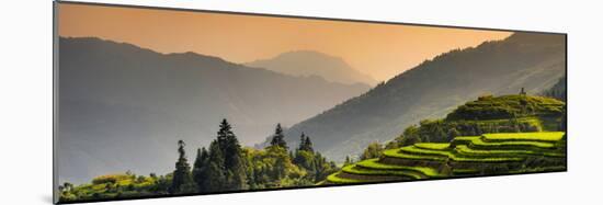 China 10MKm2 Collection - Rice Terraces - Longsheng Ping'an - Guangxi-Philippe Hugonnard-Mounted Photographic Print