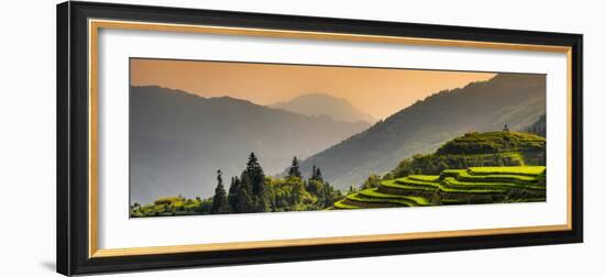 China 10MKm2 Collection - Rice Terraces - Longsheng Ping'an - Guangxi-Philippe Hugonnard-Framed Photographic Print